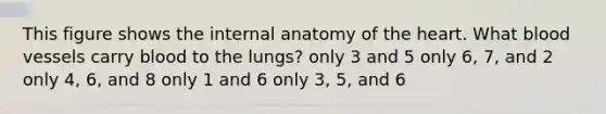 This figure shows the internal anatomy of the heart. What blood vessels carry blood to the lungs? only 3 and 5 only 6, 7, and 2 only 4, 6, and 8 only 1 and 6 only 3, 5, and 6