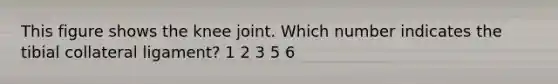 This figure shows the knee joint. Which number indicates the tibial collateral ligament? 1 2 3 5 6