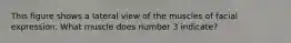 This figure shows a lateral view of the muscles of facial expression. What muscle does number 3 indicate?