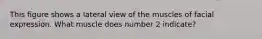 This figure shows a lateral view of the muscles of facial expression. What muscle does number 2 indicate?