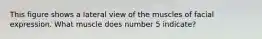 This figure shows a lateral view of the muscles of facial expression. What muscle does number 5 indicate?