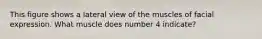 This figure shows a lateral view of the muscles of facial expression. What muscle does number 4 indicate?