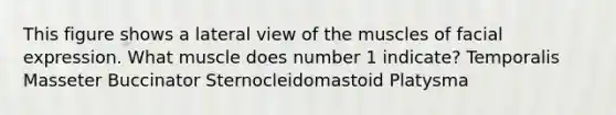 This figure shows a lateral view of the muscles of facial expression. What muscle does number 1 indicate? Temporalis Masseter Buccinator Sternocleidomastoid Platysma