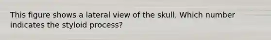 This figure shows a lateral view of the skull. Which number indicates the styloid process?