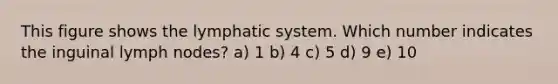 This figure shows the lymphatic system. Which number indicates the inguinal lymph nodes? a) 1 b) 4 c) 5 d) 9 e) 10