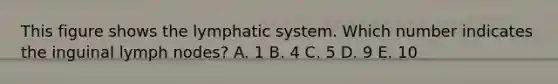 This figure shows the lymphatic system. Which number indicates the inguinal lymph nodes? A. 1 B. 4 C. 5 D. 9 E. 10