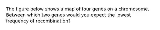 The figure below shows a map of four genes on a chromosome. Between which two genes would you expect the lowest frequency of recombination?