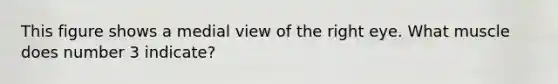 This figure shows a medial view of the right eye. What muscle does number 3 indicate?