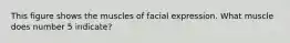 This figure shows the muscles of facial expression. What muscle does number 5 indicate?