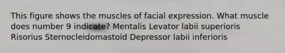 This figure shows the muscles of facial expression. What muscle does number 9 indicate? Mentalis Levator labii superioris Risorius Sternocleidomastoid Depressor labii inferioris