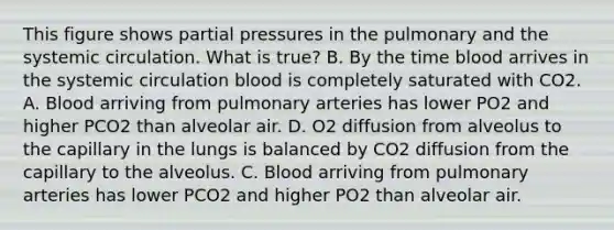 This figure shows partial pressures in the pulmonary and the systemic circulation. What is true? B. By the time blood arrives in the systemic circulation blood is completely saturated with CO2. A. Blood arriving from pulmonary arteries has lower PO2 and higher PCO2 than alveolar air. D. O2 diffusion from alveolus to the capillary in the lungs is balanced by CO2 diffusion from the capillary to the alveolus. C. Blood arriving from pulmonary arteries has lower PCO2 and higher PO2 than alveolar air.