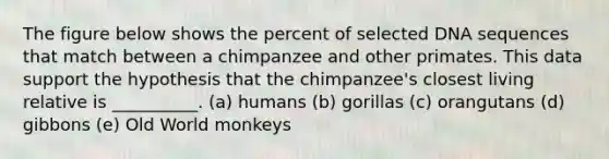 The figure below shows the percent of selected DNA sequences that match between a chimpanzee and other primates. This data support the hypothesis that the chimpanzee's closest living relative is __________. (a) humans (b) gorillas (c) orangutans (d) gibbons (e) Old World monkeys