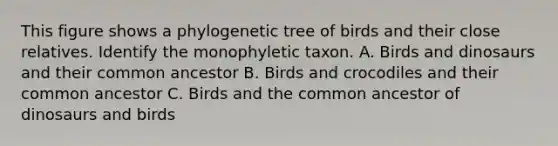 This figure shows a phylogenetic tree of birds and their close relatives. Identify the monophyletic taxon. A. Birds and dinosaurs and their common ancestor B. Birds and crocodiles and their common ancestor C. Birds and the common ancestor of dinosaurs and birds