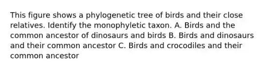 This figure shows a phylogenetic tree of birds and their close relatives. Identify the monophyletic taxon. A. Birds and the common ancestor of dinosaurs and birds B. Birds and dinosaurs and their common ancestor C. Birds and crocodiles and their common ancestor