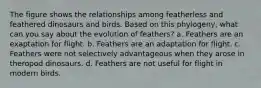 The figure shows the relationships among featherless and feathered dinosaurs and birds. Based on this phylogeny, what can you say about the evolution of feathers? a. Feathers are an exaptation for flight. b. Feathers are an adaptation for flight. c. Feathers were not selectively advantageous when they arose in theropod dinosaurs. d. Feathers are not useful for flight in modern birds.