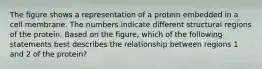 The figure shows a representation of a protein embedded in a cell membrane. The numbers indicate different structural regions of the protein. Based on the figure, which of the following statements best describes the relationship between regions 1 and 2 of the protein?