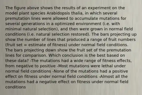 The figure above shows the results of an experiment on the model plant species Arabidopsis thalia, in which several premutation lines were allowed to accumulate mutations for several generations in a optimized environment (i.e. with minimal natural selection), and then were grown in normal field conditions (i.e. natural selection restored). The bars projecting up show the number of lines that produced a range of fruit numbers (fruit set = estimate of fitness) under normal field conditions. The bars projecting down show the fruit set of the premutation lines for comparison. Which conclusion is the best based on these data? -The mutations had a wide range of fitness effects, from negative to positive -Most mutations were lethal under normal field conditions -None of the mutations had a positive effect on fitness under normal field conditions -Almost all the mutations had a negative effect on fitness under normal field conditions