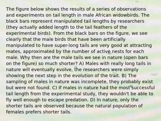 The figure below shows the results of a series of observations and experiments on tail length in male African widowbirds. The black bars represent manipulated tail lengths by researchers (they actually added length to the tail feathers of the experimental birds). From the black bars on the figure, we see clearly that the male birds that have been artificially manipulated to have super-long tails are very good at attracting mates, approximated by the number of active nests for each male. Why then are the male tails we see in nature (open bars on the figure) so much shorter? A) Males with really long tails in nature will eventually evolve, the researchers were simply showing the next step in the evolution of the trait. B) The sampling of males in nature was incomplete, they probably exist but were not found. C) If males in nature had the most successful tail length from the experimental study, they wouldn't be able to fly well enough to escape predation. D) In nature, only the shorter tails are observed because the natural population of females prefers shorter tails.