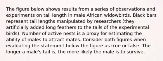 The figure below shows results from a series of observations and experiments on tail length in male African widowbirds. Black bars represent tail lengths manipulated by researchers (they artificially added long feathers to the tails of the experimental birds). Number of active nests is a proxy for estimating the ability of males to attract mates. Consider both figures when evaluating the statement below the figure as true or false. The longer a male's tail is, the more likely the male is to survive.