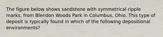 The figure below shows sandstone with symmetrical ripple marks, from Blendon Woods Park in Columbus, Ohio. This type of deposit is typically found in which of the following depositional environments?