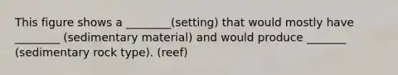 This figure shows a ________(setting) that would mostly have ________ (sedimentary material) and would produce _______ (sedimentary rock type). (reef)