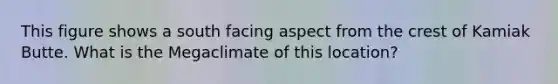This figure shows a south facing aspect from the crest of Kamiak Butte. What is the Megaclimate of this location?