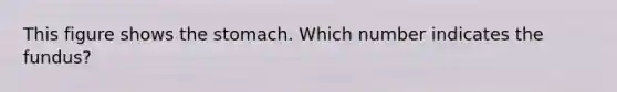 This figure shows the stomach. Which number indicates the fundus?