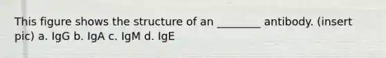 This figure shows the structure of an ________ antibody. (insert pic) a. IgG b. IgA c. IgM d. IgE