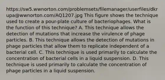 https://sw5.wwnorton.com/problemsets/filemanager/userfiles/dkrupa@wwnorton.com/AQ1207.jpg This figure shows the technique used to create a pour-plate culture of bacteriophages. What is the function of this technique? A. This technique allows the detection of mutations that increase the virulence of phage particles. B. This technique allows the detection of mutations in phage particles that allow them to replicate independent of a bacterial cell. C. This technique is used primarily to calculate the concentration of bacterial cells in a liquid suspension. D. This technique is used primarily to calculate the concentration of phage particles in a liquid suspension.