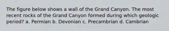 The figure below shows a wall of the Grand Canyon. The most recent rocks of the Grand Canyon formed during which geologic period? a. Permian b. Devonian c. Precambrian d. Cambrian