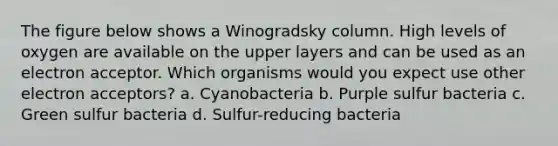 The figure below shows a Winogradsky column. High levels of oxygen are available on the upper layers and can be used as an electron acceptor. Which organisms would you expect use other electron acceptors? a. Cyanobacteria b. Purple sulfur bacteria c. Green sulfur bacteria d. Sulfur-reducing bacteria