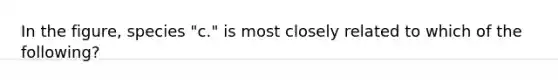 In the figure, species "c." is most closely related to which of the following?