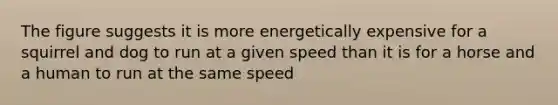 The figure suggests it is more energetically expensive for a squirrel and dog to run at a given speed than it is for a horse and a human to run at the same speed