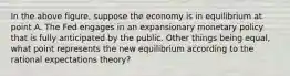 In the above figure, suppose the economy is in equilibrium at point A. The Fed engages in an expansionary monetary policy that is fully anticipated by the public. Other things being equal, what point represents the new equilibrium according to the rational expectations theory?