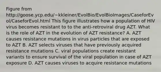 Figure from http://goose.ycp.edu/~kkleiner/EvolBio/EvolBioImages/CaseforEvol/CaseforEvol.html This figure illustrates how a population of HIV virus becomes resistant to to the anti-retroviral drug AZT. What is the role of AZT in the evolution of AZT resistance? A. AZT causes resistance mutations in virus particles that are exposed to AZT B. AZT selects viruses that have previously acquired resistance mutations C. viral populations create resistant variants to ensure survival of the viral population in case of AZT exposure D. AZT causes viruses to acquire resistance mutations