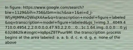 In figure: https://www.google.com/search?biw=1129&bih=756&tbm=isch&sa=1&ei=d_j-WtyMJMPAsQWisJX4Aw&q=transcription+model+figure+labeled&oq=transcription+model+figure+labeled&gs_l=img.3...4049.4710.0.4954.2.2.0.0.0.0.47.93.2.2.0....0...1c.1.64.img..0.0.0....0.yj632i862lk#imgrc=Iq8psZ8TPvur9M: the transcription process begins at the area labeled: a. a. b. d. c. e. d. g. e. none of the above