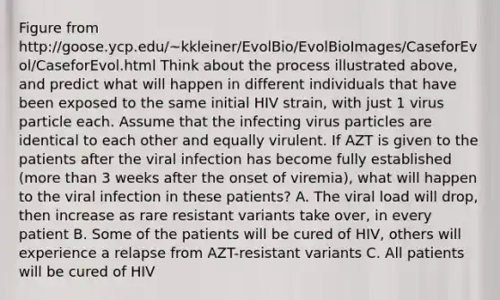 Figure from http://goose.ycp.edu/~kkleiner/EvolBio/EvolBioImages/CaseforEvol/CaseforEvol.html Think about the process illustrated above, and predict what will happen in different individuals that have been exposed to the same initial HIV strain, with just 1 virus particle each. Assume that the infecting virus particles are identical to each other and equally virulent. If AZT is given to the patients after the viral infection has become fully established (more than 3 weeks after the onset of viremia), what will happen to the viral infection in these patients? A. The viral load will drop, then increase as rare resistant variants take over, in every patient B. Some of the patients will be cured of HIV, others will experience a relapse from AZT-resistant variants C. All patients will be cured of HIV