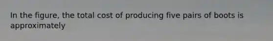 In the figure, the total cost of producing five pairs of boots is approximately