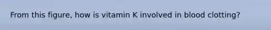 From this figure, how is vitamin K involved in blood clotting?