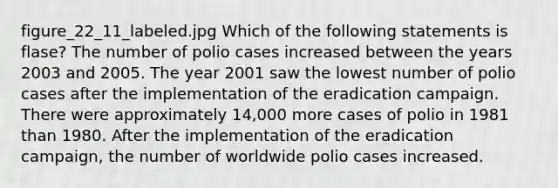 figure_22_11_labeled.jpg Which of the following statements is flase? The number of polio cases increased between the years 2003 and 2005. The year 2001 saw the lowest number of polio cases after the implementation of the eradication campaign. There were approximately 14,000 more cases of polio in 1981 than 1980. After the implementation of the eradication campaign, the number of worldwide polio cases increased.