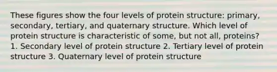 These figures show the four levels of protein structure: primary, secondary, tertiary, and quaternary structure. Which level of protein structure is characteristic of some, but not all, proteins? 1. Secondary level of protein structure 2. Tertiary level of protein structure 3. Quaternary level of protein structure