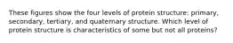 These figures show the four levels of protein structure: primary, secondary, tertiary, and quaternary structure. Which level of protein structure is characteristics of some but not all proteins?