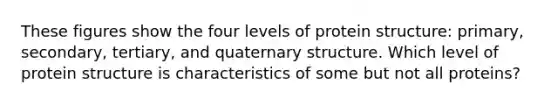 These figures show the four levels of protein structure: primary, secondary, tertiary, and quaternary structure. Which level of protein structure is characteristics of some but not all proteins?