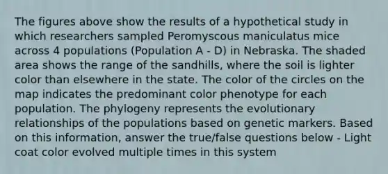 The figures above show the results of a hypothetical study in which researchers sampled Peromyscous maniculatus mice across 4 populations (Population A - D) in Nebraska. The shaded area shows the range of the sandhills, where the soil is lighter color than elsewhere in the state. The color of the circles on the map indicates the predominant color phenotype for each population. The phylogeny represents the evolutionary relationships of the populations based on genetic markers. Based on this information, answer the true/false questions below - Light coat color evolved multiple times in this system