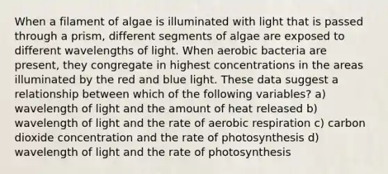 When a filament of algae is illuminated with light that is passed through a prism, different segments of algae are exposed to different wavelengths of light. When aerobic bacteria are present, they congregate in highest concentrations in the areas illuminated by the red and blue light. These data suggest a relationship between which of the following variables? a) wavelength of light and the amount of heat released b) wavelength of light and the rate of aerobic respiration c) carbon dioxide concentration and the rate of photosynthesis d) wavelength of light and the rate of photosynthesis