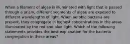 When a filament of algae is illuminated with light that is passed through a prism, different segments of algae are exposed to different wavelengths of light. When aerobic bacteria are present, they congregate in highest concentrations in the areas illuminated by the red and blue light. Which of the following statements provides the best explanation for the bacteria congregation in these areas?