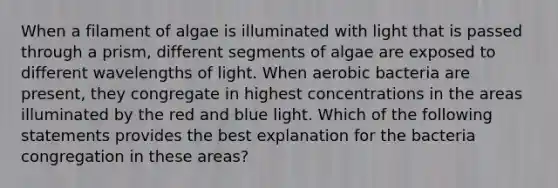 When a filament of algae is illuminated with light that is passed through a prism, different segments of algae are exposed to different wavelengths of light. When aerobic bacteria are present, they congregate in highest concentrations in the areas illuminated by the red and blue light. Which of the following statements provides the best explanation for the bacteria congregation in these areas?