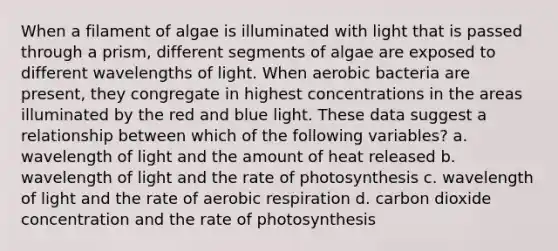 When a filament of algae is illuminated with light that is passed through a prism, different segments of algae are exposed to different wavelengths of light. When aerobic bacteria are present, they congregate in highest concentrations in the areas illuminated by the red and blue light. These data suggest a relationship between which of the following variables? a. wavelength of light and the amount of heat released b. wavelength of light and the rate of photosynthesis c. wavelength of light and the rate of aerobic respiration d. carbon dioxide concentration and the rate of photosynthesis