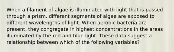 When a filament of algae is illuminated with light that is passed through a prism, different segments of algae are exposed to different wavelengths of light. When aerobic bacteria are present, they congregate in highest concentrations in the areas illuminated by the red and blue light. These data suggest a relationship between which of the following variables?