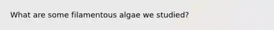 What are some filamentous algae we studied?